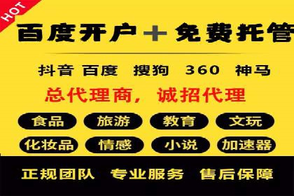 探索sem公司的策略与效果